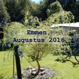 Emmen